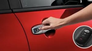 Electrostatic door handles