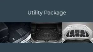 Perodua GEAR UP Utility Package
