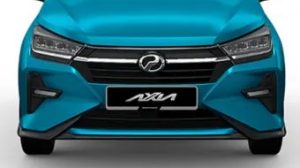 Chrome front grille with front skirt